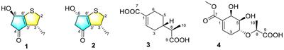 New Thio-Compounds and Monoterpenes With Anti-inflammatory Activities From the Fungus Aspergillus sp. CYH26